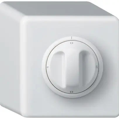 Interruttore rotativo AP basico 2/1L bianco con manopola 