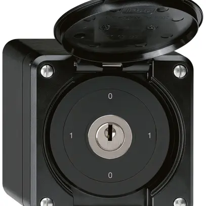 Interrupteur à clé AP robusto IP55 avec clapet S0/2P noir 