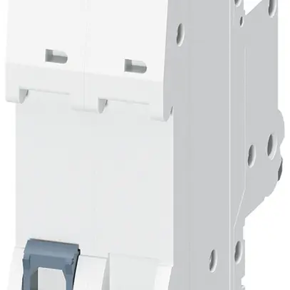 Disgiuntore Siemens SENTRON 5SL6 2P 230V C 13A 6kA 2UM 