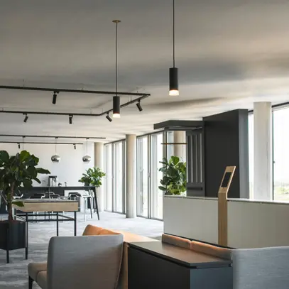 Rosone da soffitto INS SLV FITU 3 poli Ø85mm oro 
