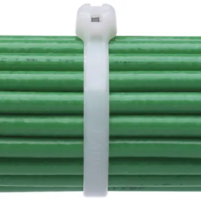 Collier BARB-TY 3.6×203mm incolore 