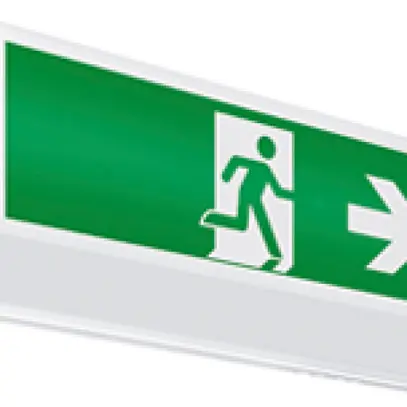 Lampada di emergenza ESYLUX SLA LEDi SC, 30×LED, 352×114×90mm 
