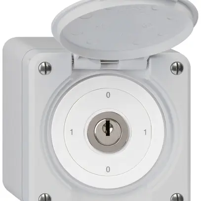 Interrupteur à clé AP robusto IP55 avec clapet S0/1P gris 
