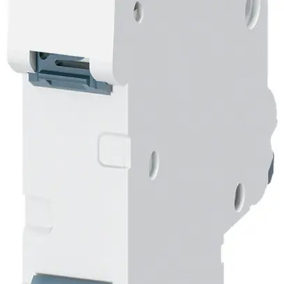 Disgiuntore Siemens SENTRON 5SL6 2P 230V C 32A 6kA 1UM 