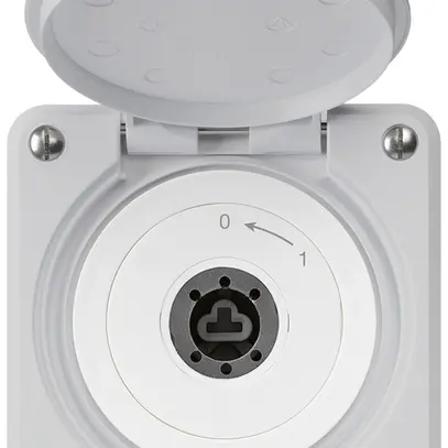 Contact pivotant à clé ENC robusto IP55 gris avec clapet sans cylindre 1P 