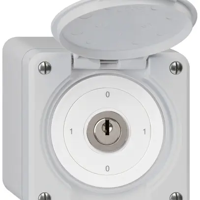 Interrupteur à clé AP robusto IP55 avec clapet S0/2P gris 