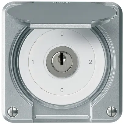 Interruttore a chiave INC robusto IP55 con copertura S2/1P alluminio 