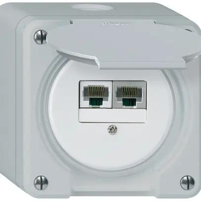 Boîte de raccordement AP robusto IP55 gris 1×RJ45/s 1×RJ45/u séparés 