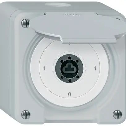 Interrupteur à clé AP robusto IP55 avec clapet sans cylindre S0/1P gris 