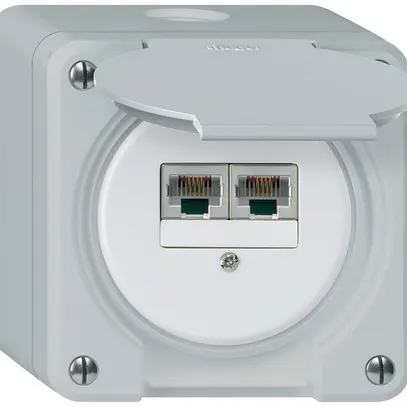 Boîte de raccordement AP robusto IP55 gris 2×RJ45/s CUC séparés 