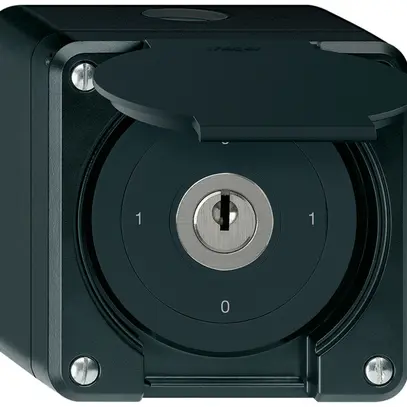 Interrupteur à clé AP robusto IP55 avec clapet S0/1P noir 