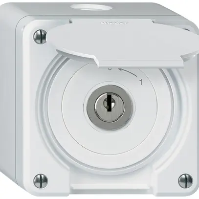 Contact pivotant à clé AP robusto IP55 blanc avec clapet 1P 
