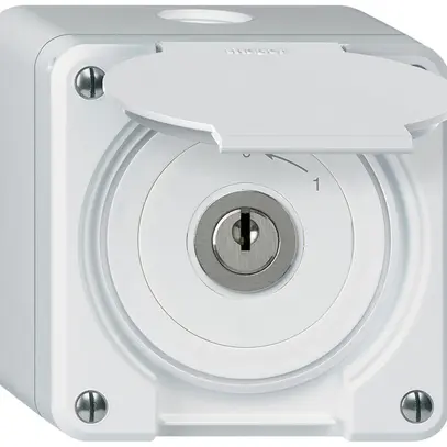 Contact pivotant à clé AP robusto IP55 blanc avec clapet 2P 