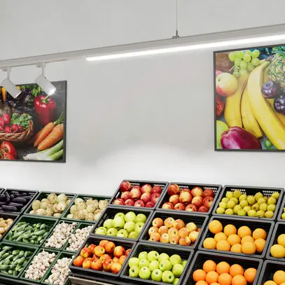 Insert lumineux LED LEDVANCE TRUSYS FLEX OP 70W 11700lm 865 EM 3h 1.5m blanc 90° 