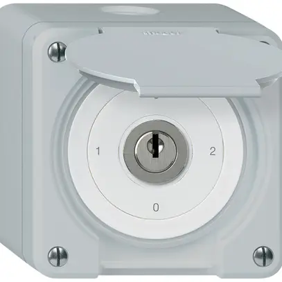 Interrupteur à clé AP avec clapet robusto IP55 S2/1P gris 