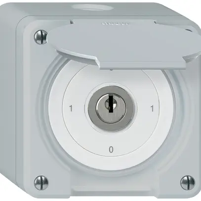 Interrupteur à clé AP robusto IP55 avec clapet S0/1P gris 