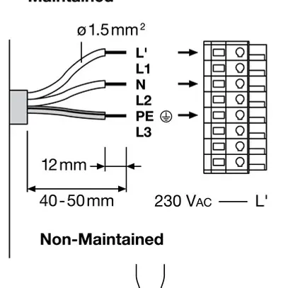 Insert lumineux LED LEDVANCE TRUSYS FLEX CL 35W 6000lm 865 EM 3h 1.5m blanc 40° 