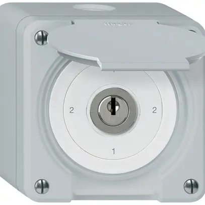 Interruttore a chiave con copertura AP robusto IP55 S3/1P grigio 