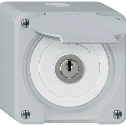 Contatto rotativo chiave AP robusto IP55 grigio con coperchio 1P 