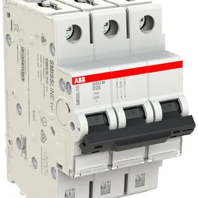 Disjoncteur SMISSLINE TP S 3×25A D 10kA 