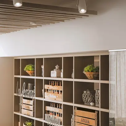 Proiettore SLV EURO SPOT, GU10 25W con adattatore 3-fasi IP20 bianco 