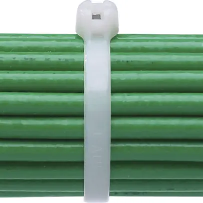 Collier BARB-TY 3.6×203mm incolore 