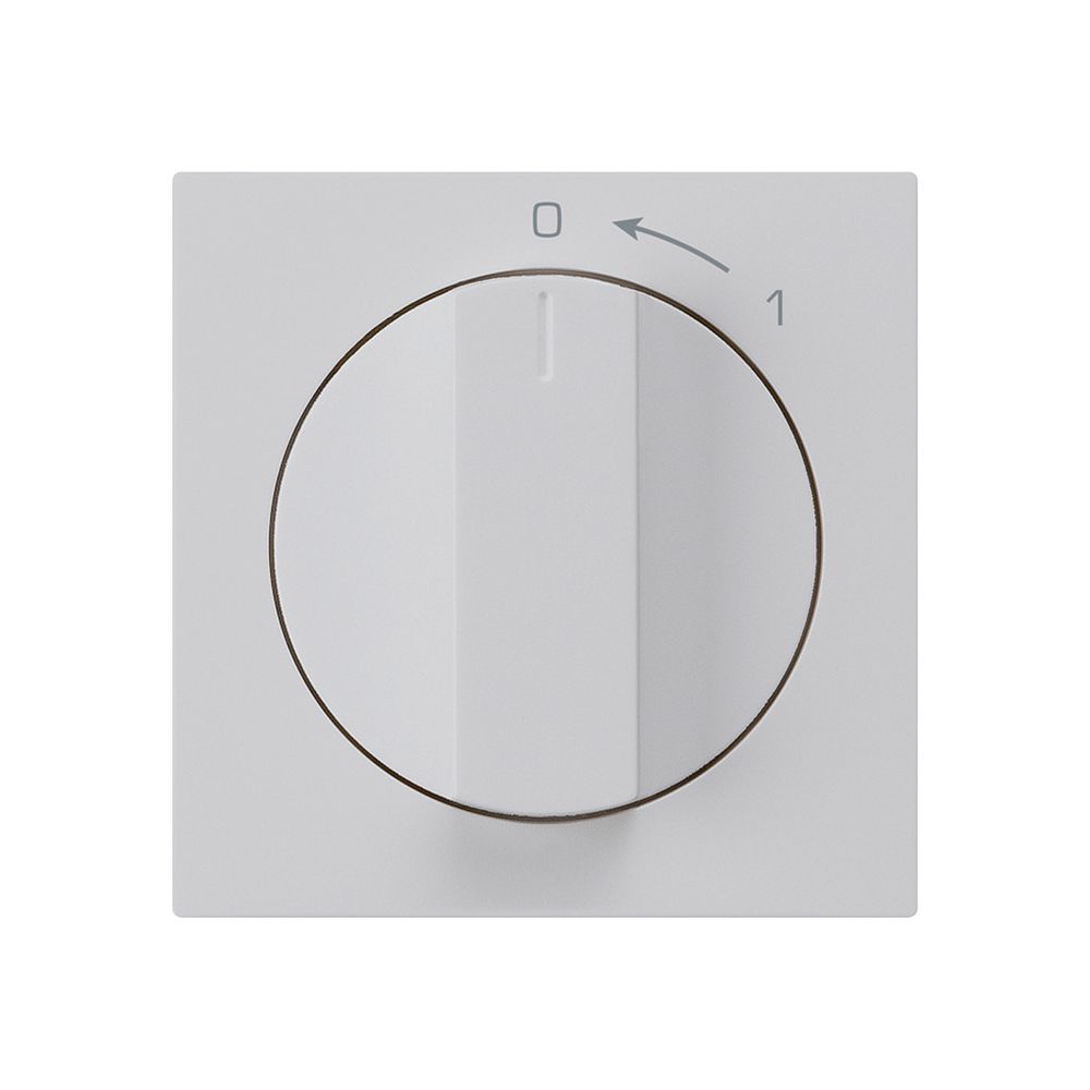 Frontset für Schwenktaster hellgrau 60×60mm kallysto 0<-1