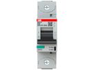 Leitungsschutzschalter ABB S801P-C80 1P 230V C-80A 50kA 1.5TE
