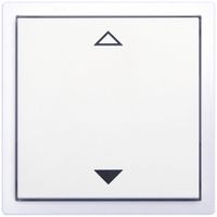 AP-Funktaster ALADIN Turo, EnOcean, 2K/1T, V/Λ, batterielos, weiss