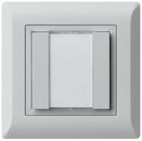 UP-Universaltaster 2×kallysto.line mit LED hellgrau