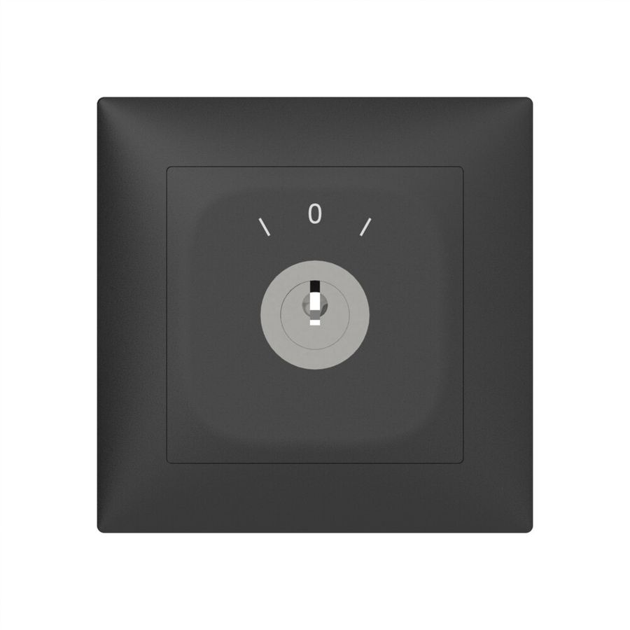 Contact pivotant ENC SIDUS B 2CT SS anthracite