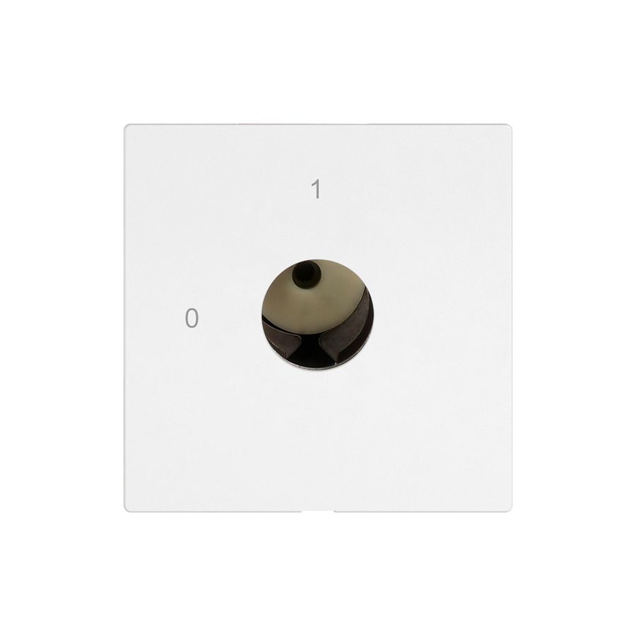 Interruttore a chiave EDIZIO.liv per KABA 1514 1P 0-1 p=67mm bi