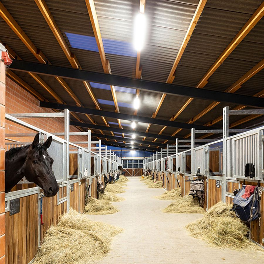 LED-Feuchtraumleuchte DOTLUX MISTRAL 36W 4845lm 840 IP65 1240×100 grau