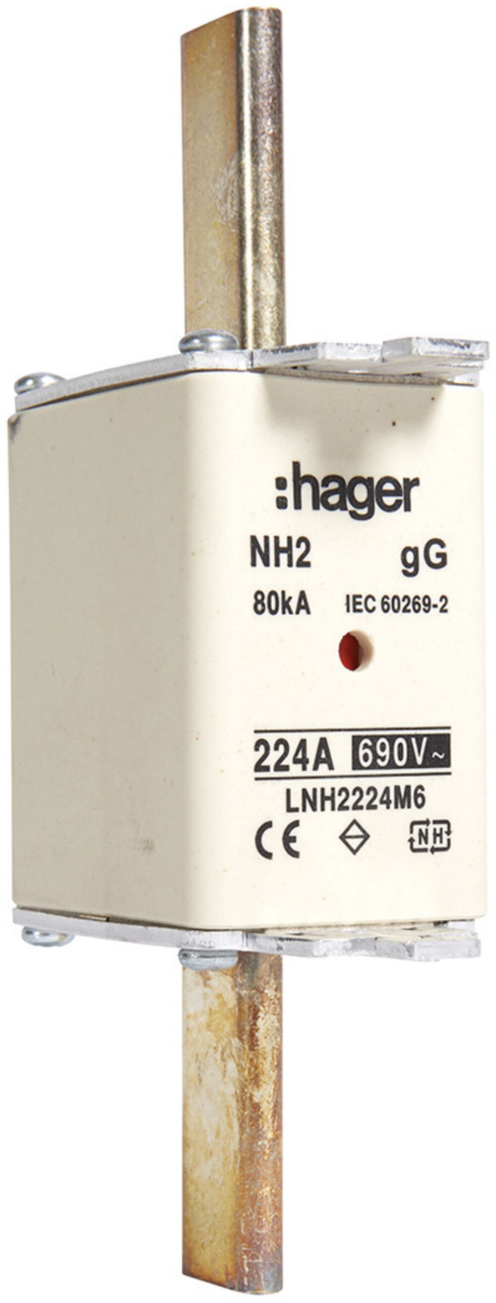 Fusibile HPC Hager DIN2c 690VAC 224A gG/gL segnalatore doppio inossidabile