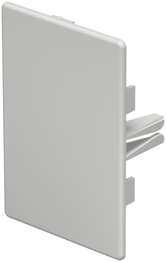 Plaque de fermeture Bettermann pour canal d'installation WDK gris clair 60×90mm