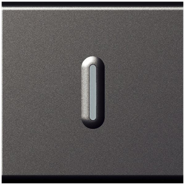 EB-Leuchtwipptaster MOS ARL 6A magnesium 2 Module