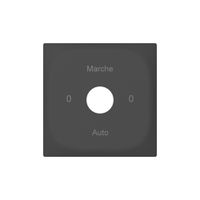 Plaque frontale SIDUS avec gravure anthracite