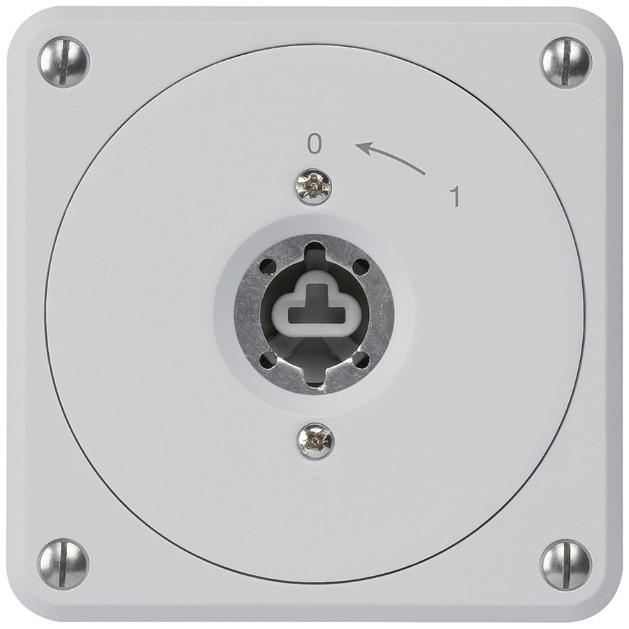 UP-Schlüsselschwenktaster robusto grau o.Deckel o.Zylinder 1P für Kombination