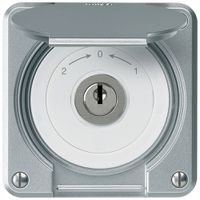 UP-Schlüsselschwenktaster robusto IP55 aluminium mit Deckel Wechsler