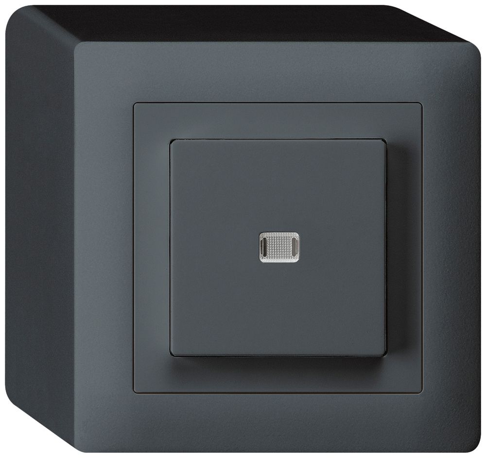 AP-Leuchtdrucktaster kallysto AR/2L anthrazit