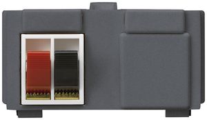 Modulo multimedia M3 con 2×LS morsetti rosso/ne kallysto antracite