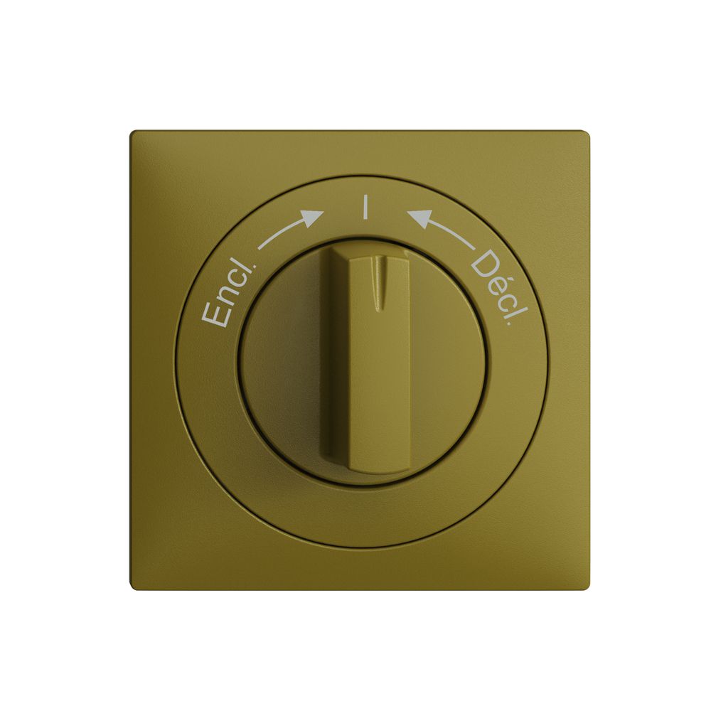 Frontset EDIZIOdue Encl.->I<-Décl. olive 60×60mm für Schwenktaster