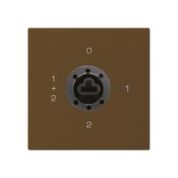 Intérieur interrupteur à clé kallysto 1/1L brun p.serrure de sûreté s.cylindre