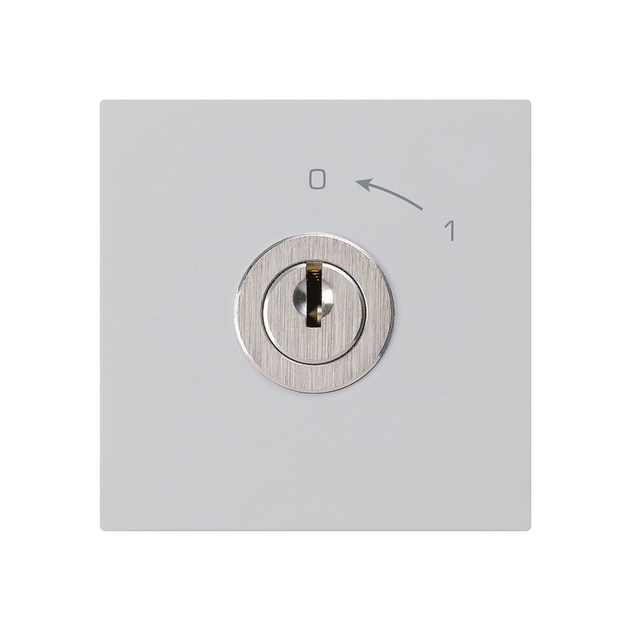 Schwenktaster 0<-1/1L hellgrau kallysto mit Schloss Kaba 8