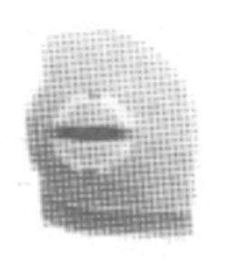 Plombiervorrichtung Weber ABT-R