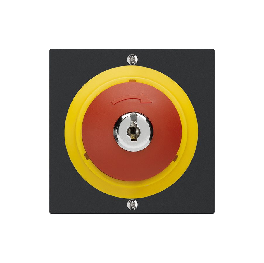 Schlüsseltaster kallysto NOT-AUS schwarz