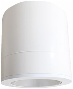 AP-LED-Downlight SG Rax Surface 150 19W 2140lm 830 DALI Ø173×203mm weiss