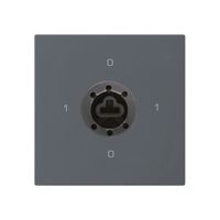 Einsatz zu Schlüsselschalter kallysto 0/1L an f.Sicherheitsschloss ohne Zylinder