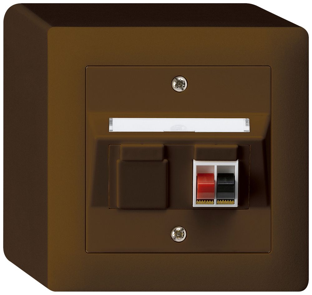 AP-Audiodose kallysto 1×braun Klemmanschluss für 1 LS