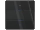 UP-Tastsensor Theben LUXORliving iON2 G LED Mit Beschriftungsfeld schwarz